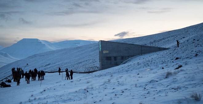 New Countries and a New Crop Mark First Seed Vault Deposit of 2026