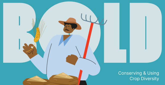 New Online Experience: Conserving and Using Crop Diversity